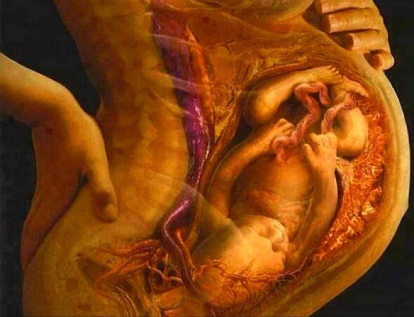 emma6USA's tweet photo. I Am Pro Life - All Lives Matter.  This life Started at conception.  👶🙏 Please make sure your make your choice before conception.
@fordmb1 @salis333 @francklyspoken @tutukane @CJSzx12 @NavyVeteranPaul @Scobra642 @baddaddy @Ilegvm @_djtII @TheLucyShow1 @PaulaRed62 @KevinGills13 @f_leclerc20037 @ProSquatch @IndyBeginsAt220 @IndyMagz @Zegdie @irdfgaf @DragonSword778 @Dracarysmf3rs @2024DJT2024 @hellzxcajun @MikePIMarine @Queeny1946 @luluHru @doogadoo11 @1109Patricia @ron_starr1947 @BearlyOne @diaz_luwai45248 @diannecope13469 @TJLakers01 @emma6USA 🦅