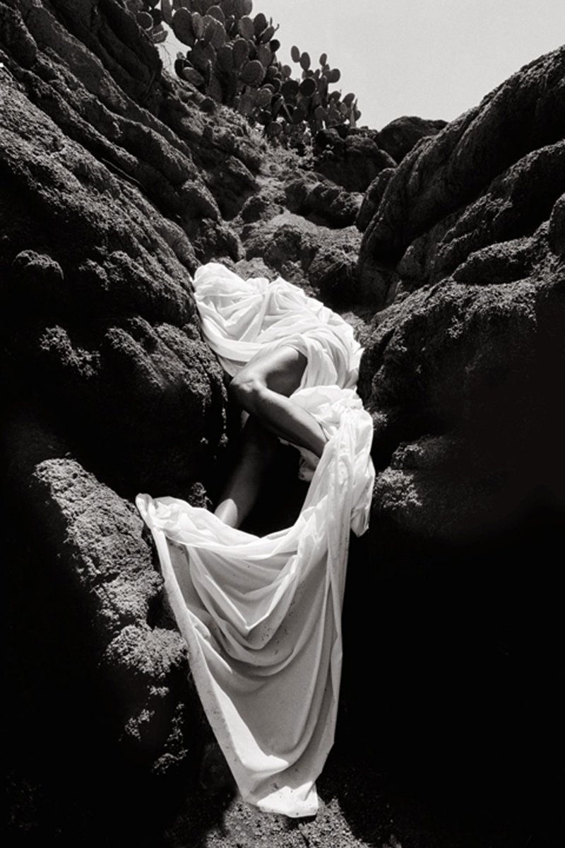 Donadora tweet media