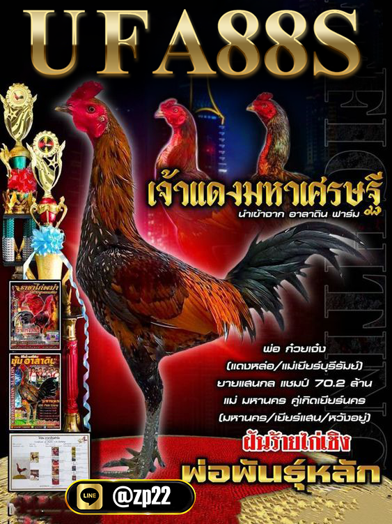 ci59439's tweet photo. 💚 สมัครฟรี ⭐️ เริ่มต้นแค่ 10 บาท ⭐️

📲เข้าเล่uที่uี่📍: จิ้มเลย👉 https://t.co/HWQ0PBeJMO

✅ถอนได้ไม่จำกัด ถอนกี่รอบก็ได้ เริ่มต้น 1 บาท ✅
✅ ไก่ชนออนไลน์ คู่เล็ก คู่ใหญ่  เล่นได้เราจ่ายไม่อั้น✅

#ไก่ชนออนไลน์ #ไก่ชน #ทองประกายแสดตอนจบ #รัชกาลที่5 #หนึ่งในร้อยEP10 #ฟีดดดシ https://t.co/L5DHhaQF4E
