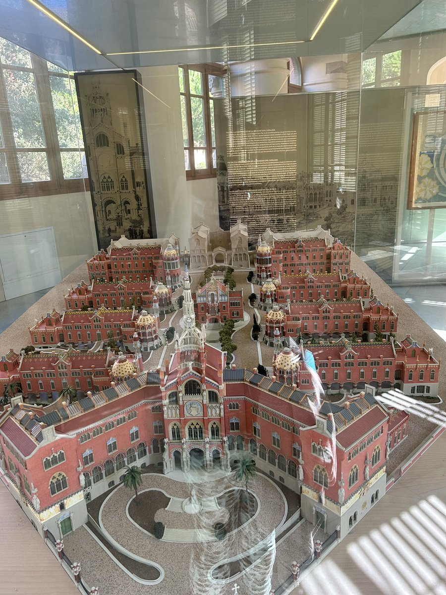 Barbara Rayner tweet media