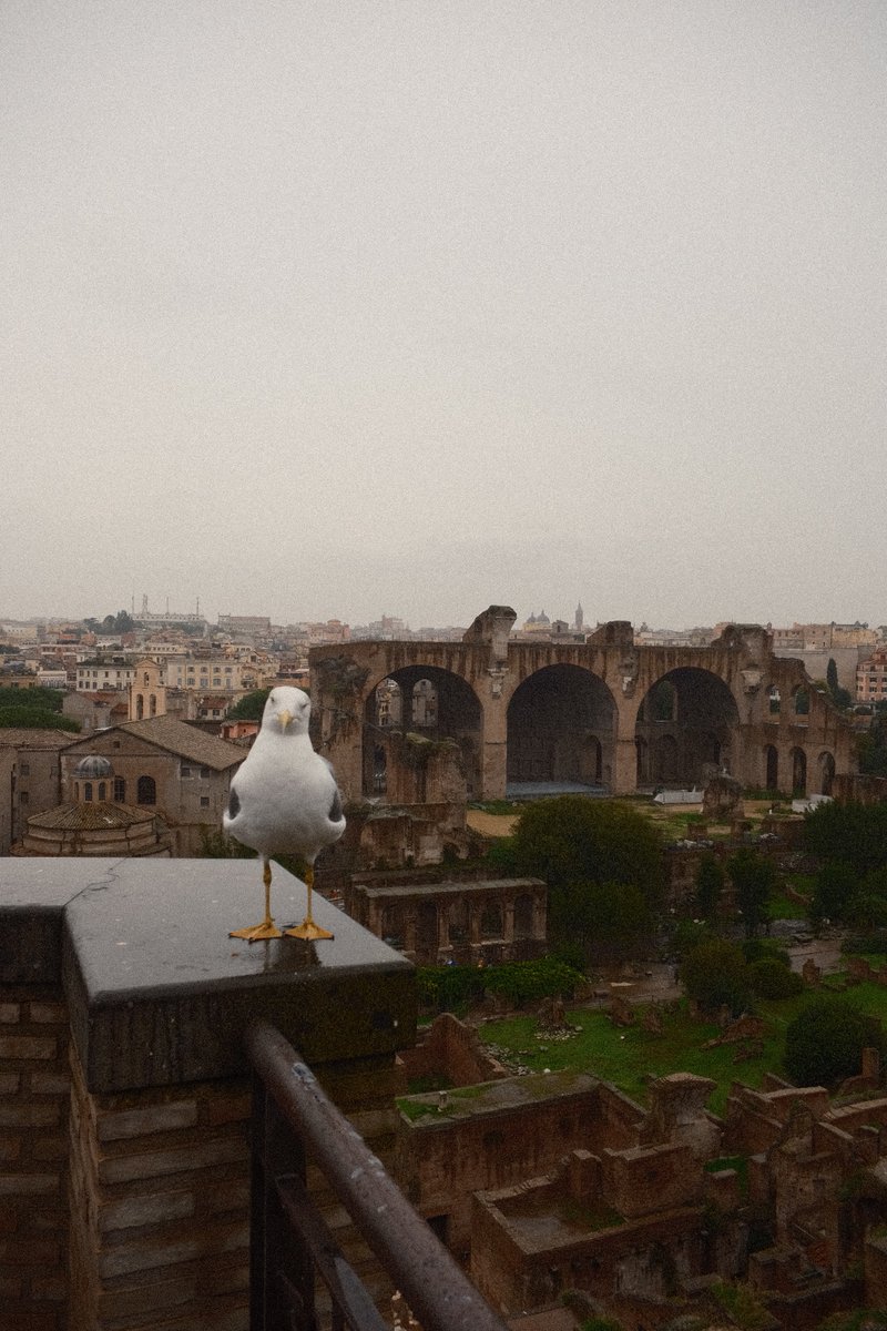 met the mayor of rome