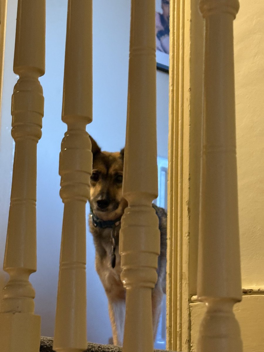 Rory Cellan-Jones tweet media