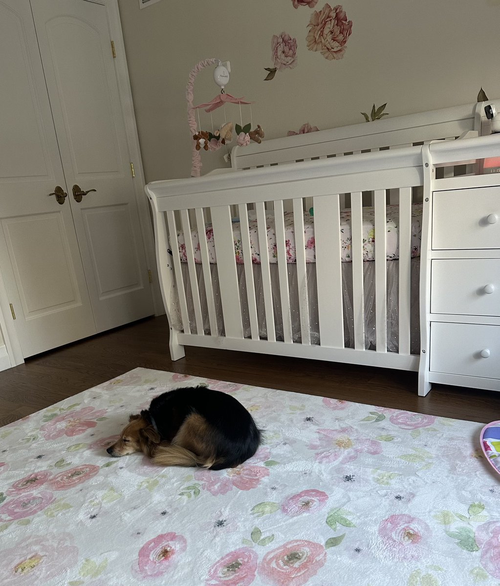 Yelena Bogdan, MD, FACS, FAAOS tweet media