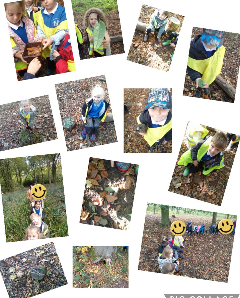 IPMATGirnhill's tweet photo. Our year 1 children had a fantastic time exploring Ledston woods yesterday. They enjoyed a scavenger hunt and making a den for their pebble people. #IPMATGIS #GIRNHILLrabbits #GIRNHILLotters https://t.co/ZEibQGGzy7