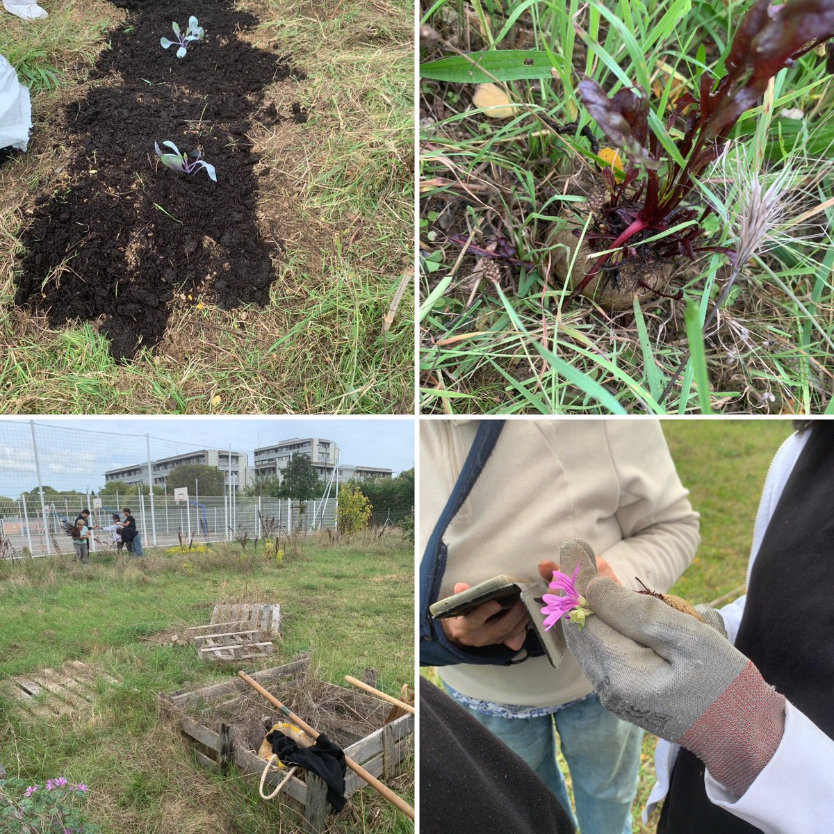 eddlyceesbakerhalimi 🌍♻️🌳🐝🍓🍎🍅🐓 tweet media