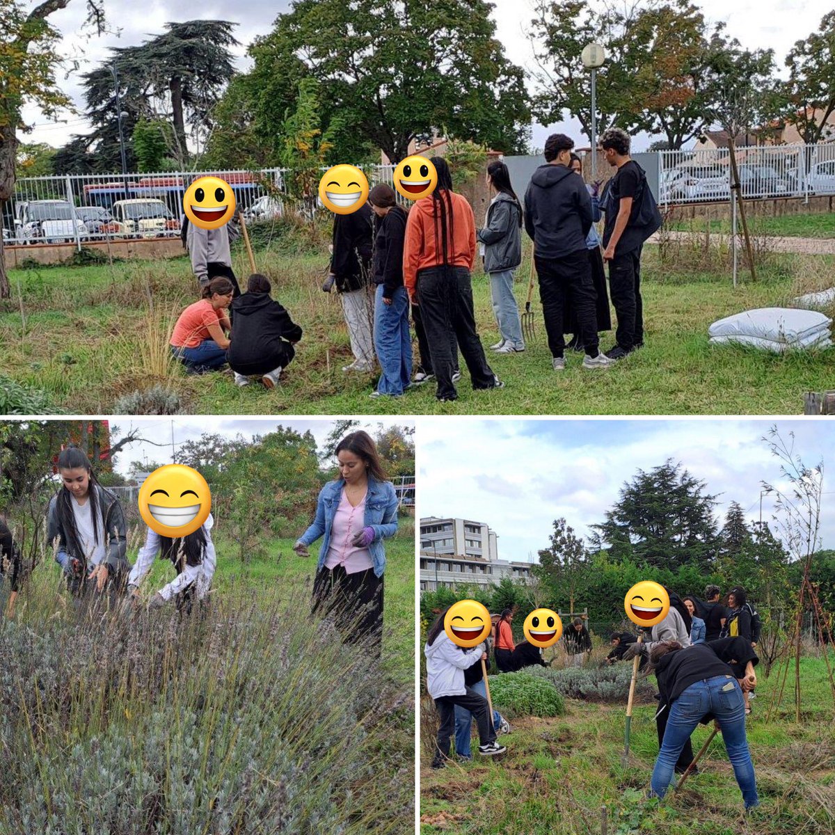 eddlyceesbakerhalimi 🌍♻️🌳🐝🍓🍎🍅🐓 tweet media