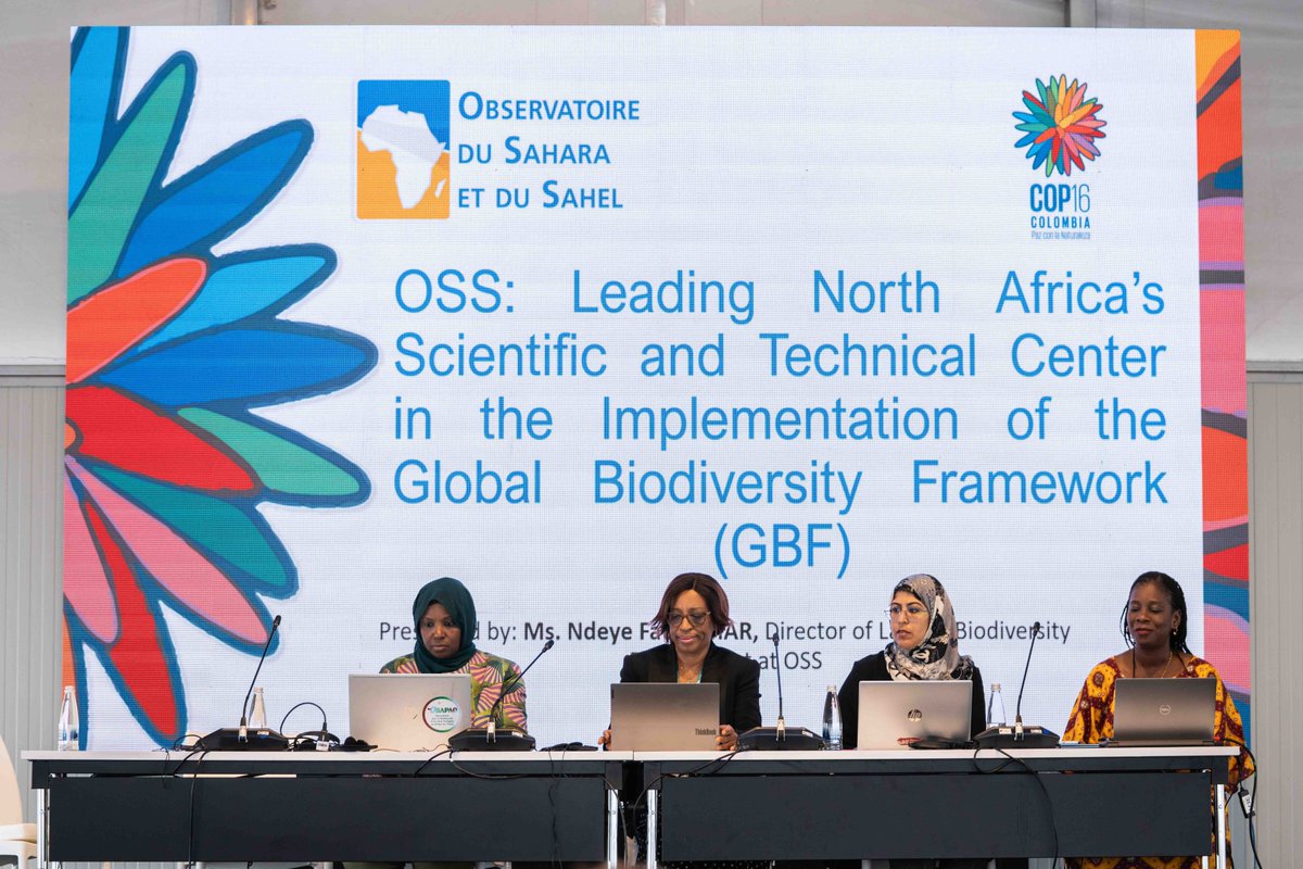 Earth Negotiations Bulletin tweet media