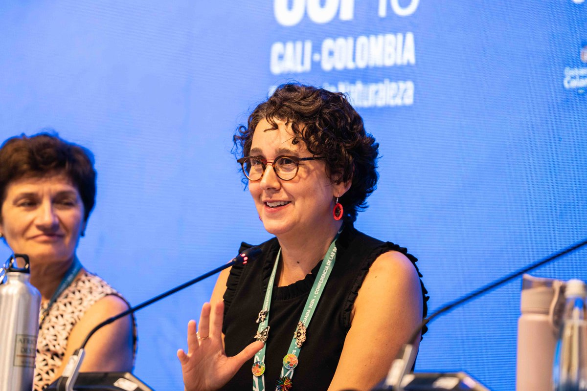 Earth Negotiations Bulletin tweet media