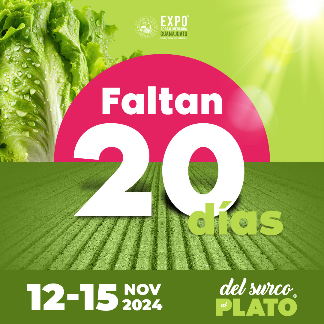OdilonGloria's tweet photo. "20 días para Expo Agroalimentaria Guanajuato 2024.¡La emoción esta al aire y la sala de Lactancia estará disponible para tu comodidad!" https://t.co/A9kSFuodOu