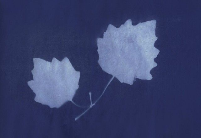 The Double Negative (@thedblengtve) on Twitter photo NEW // The Vegetal Turn? Contemporary Art, Nature and The TreeStory Approach buff.ly/4dXk8M7
@openeyegallery
<a href="/dotart/">dot-art Gallery</a>
<a href="/merseyforest/">The Mersey Forest</a>
<a href="/HeritageFundNOR/">The National Lottery Heritage Fund North</a> NEW // The Vegetal Turn? Contemporary Art, Nature and The TreeStory Approach buff.ly/4dXk8M7
@openeyegallery
<a href="/dotart/">dot-art Gallery</a>
<a href="/merseyforest/">The Mersey Forest</a>
<a href="/HeritageFundNOR/">The National Lottery Heritage Fund North</a>