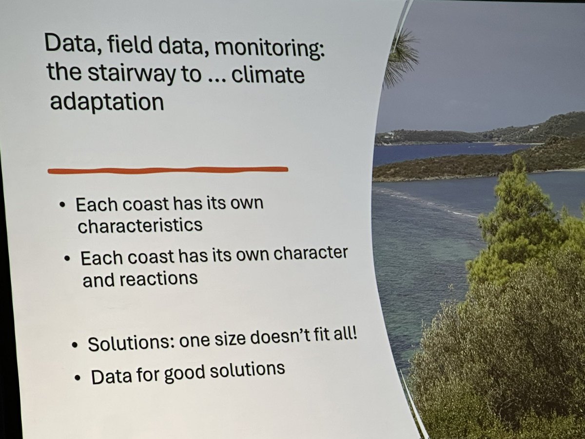 Natasha Bradshaw tweet media