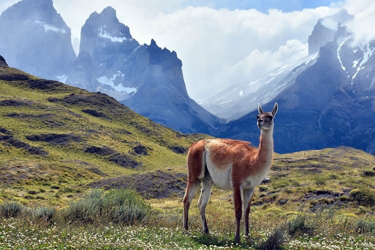 Chile acaba de presentar actualización de Plan de Acción y metas en #Biodiversidad #COP16 <a href="/MMAChile/">Ministerio del Medio Ambiente</a> <a href="/Maisa_Rojas/">Maisa</a> ort.cbd.int/es/national-ta… 
<a href="/ACCION_Empresas/">Acción Empresas</a> <a href="/COP16Oficial/">COP16 COLOMBIA 🇨🇴</a>