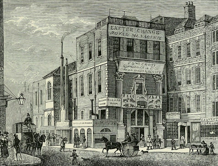 DevilsMenagerie's tweet photo. The Exeter Change, on The Strand circa 1820 - once home to London’s most notorious menagerie, its most infamous attraction, Chunee the elephant, and the setting for one of the darkest moments in The Devil’s Menagerie. #KindleUnlimited #ScaryTales  

https://t.co/wDaamhvsEu https://t.co/kbD156fr79