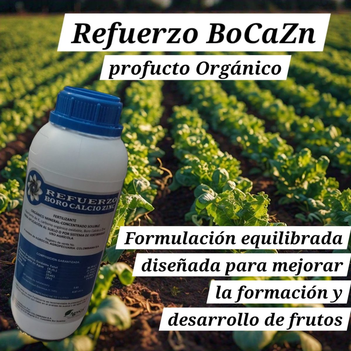 agrocol's tweet photo. https://t.co/X4HnIs602Z