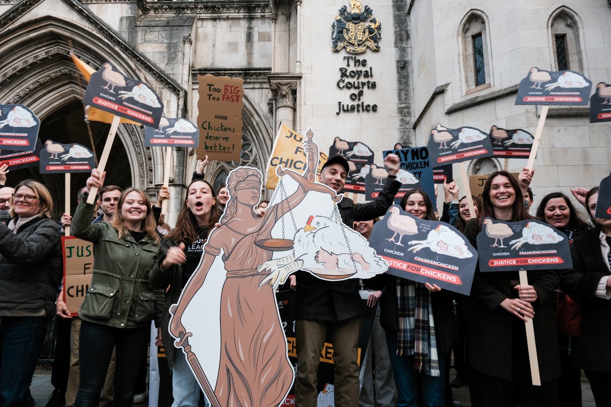Once again proud to stand with <a href="/humaneleagueuk/">The Humane League UK</a> and its band of determined activists, <a href="/TheRealKirstyG/">KIRSTY GALLACHER</a> &amp; Qian <a href="/BZephaniah/">Professor Benjamin Zephaniah</a>'s partner, to call for #JusticeForChickens. Our Judicial Review case has been 5 years in the making, &amp; we're ready, NOW, to see the back of Frankenchicken use.
