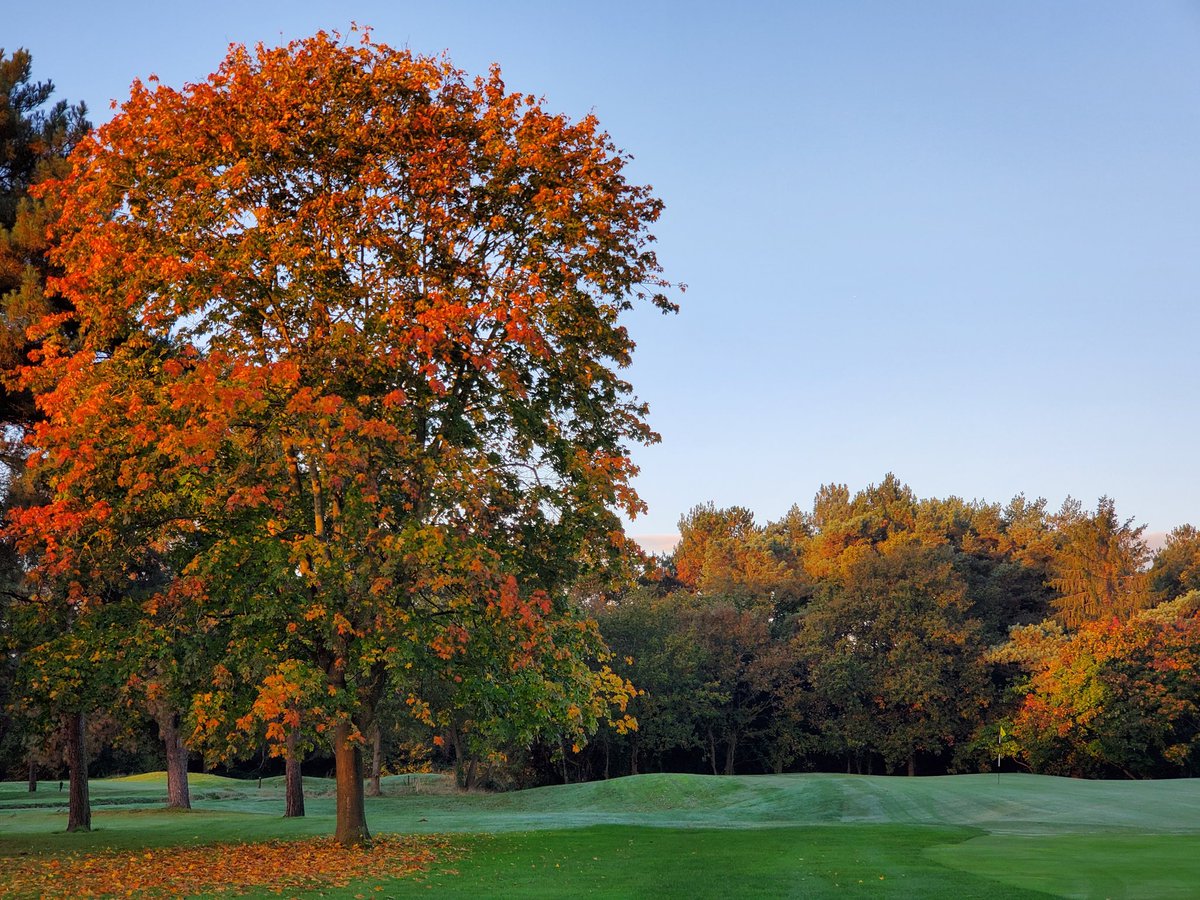 Undisputed best season of the year.