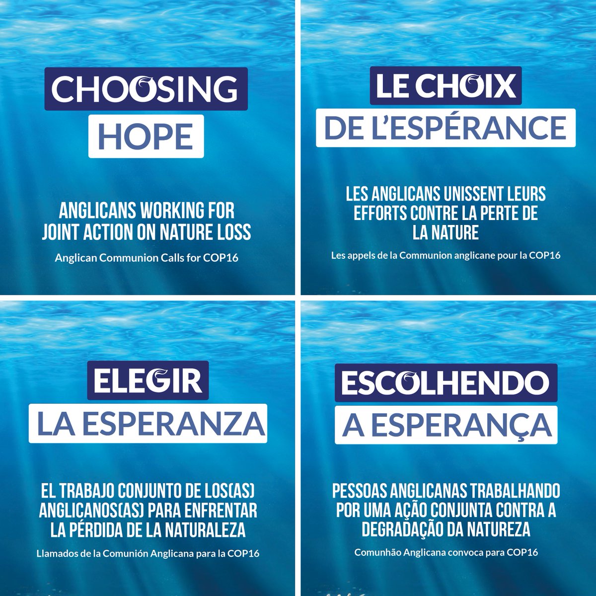 The Anglican Communion’s report outlining our main calls for action at COP16 is available in English, French, Spanish, and Portuguese.

This report highlights the urgent need for joint global action on biodiversity loss and environmental justice, including key initiatives like