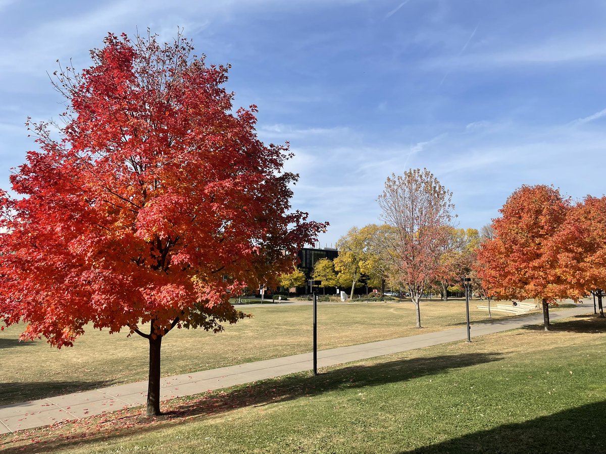 MacalesterMBB's tweet photo. October at @Macalester 💙🧡🍁 https://t.co/dfhzG3KxtY