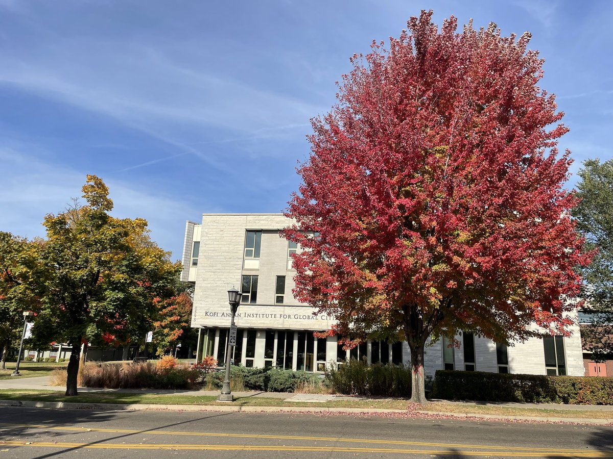 MacalesterMBB's tweet photo. October at @Macalester 💙🧡🍁 https://t.co/dfhzG3KxtY