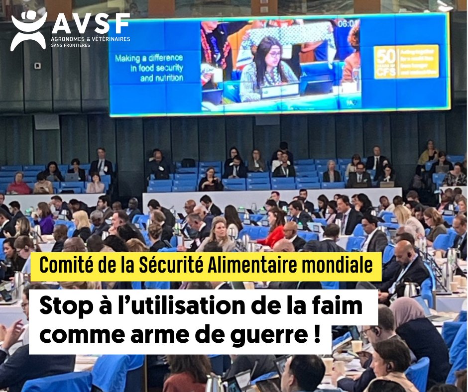 #CSA : 20 ans après les Directives sur le Droit à l'alimentation, les violations persistent
🚨 À Gaza, au Yémen, au Soudan, des millions de personnes souffrent de la faim, l’alimentation est utilisée comme arme
📢 La société civile appelle à une action décisive contre ces crimes