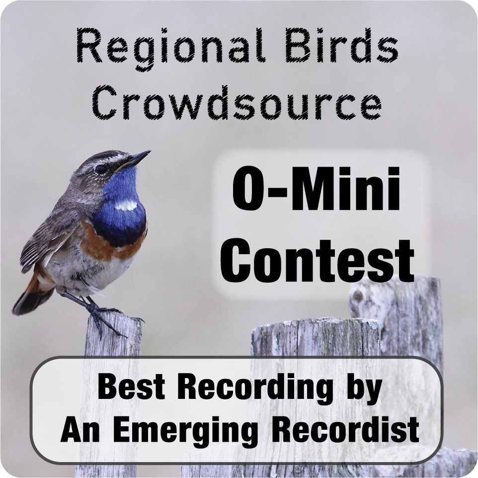 Chris Trevino tweet media