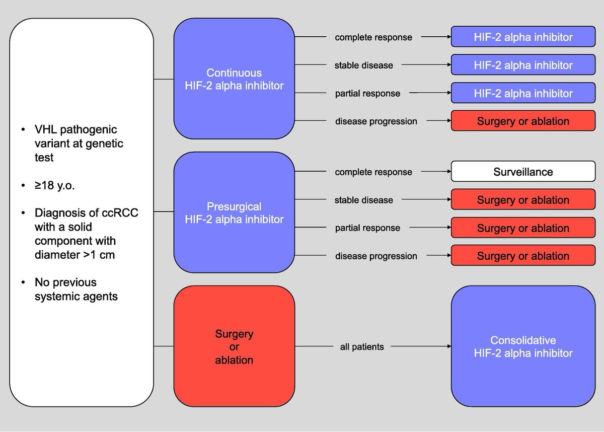 European Urology Oncology (@eururoloncol) on Twitter photo Removing Barriers to the Use of Systemic Agents for Patients with von Hippel-Lindau Disease by <a href="/_alelarcher/">Alessandro Larcher</a> et al
buff.ly/3zO8Dsv
#UroSoMe #MedTwitter #EUO Removing Barriers to the Use of Systemic Agents for Patients with von Hippel-Lindau Disease by <a href="/_alelarcher/">Alessandro Larcher</a> et al
buff.ly/3zO8Dsv
#UroSoMe #MedTwitter #EUO