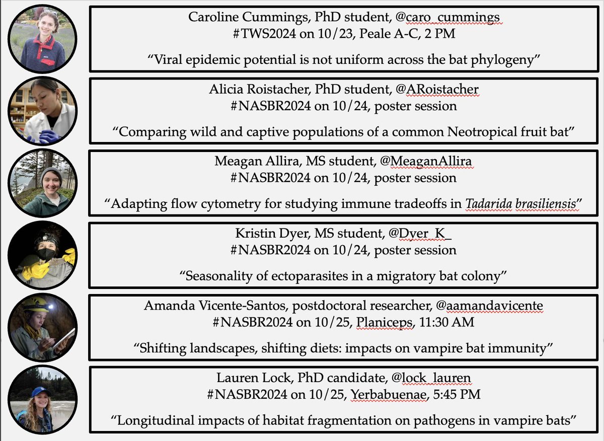 Daniel Becker (@danjbecker) on Twitter photo at #TWS2024 or #NASBR2024? check out lots of exciting bat, immunology, and virus work by <a href="/caro_cummings/">Caroline Cummings</a> <a href="/ARoistacher/">Alicia Roistacher</a> @MeaganAllira <a href="/Dyer_K_/">Kristin Dyer 🦇🦠🐍</a> <a href="/aamandavicente/">Amanda Vicente</a> <a href="/lock_lauren/">Lauren Lock</a> at #TWS2024 or #NASBR2024? check out lots of exciting bat, immunology, and virus work by <a href="/caro_cummings/">Caroline Cummings</a> <a href="/ARoistacher/">Alicia Roistacher</a> @MeaganAllira <a href="/Dyer_K_/">Kristin Dyer 🦇🦠🐍</a> <a href="/aamandavicente/">Amanda Vicente</a> <a href="/lock_lauren/">Lauren Lock</a>