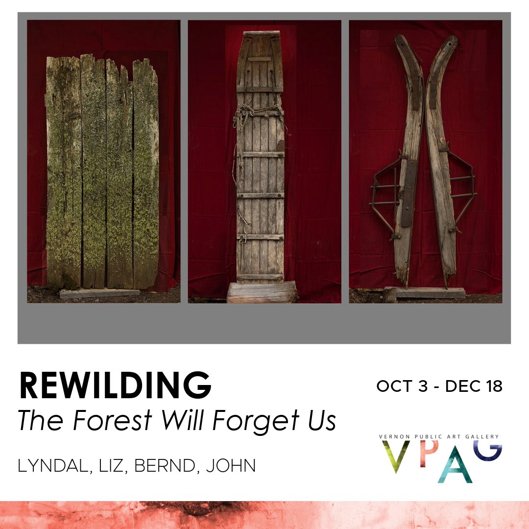 🌲 Now on view at the Vernon Art Gallery: Rewilding: The Forest Will Forget Us. Explore the resilience of nature and ancient stories of Alberta's boreal forest. On until Dec 20! #RewildingExhibit #NatureArt #VernonEvents