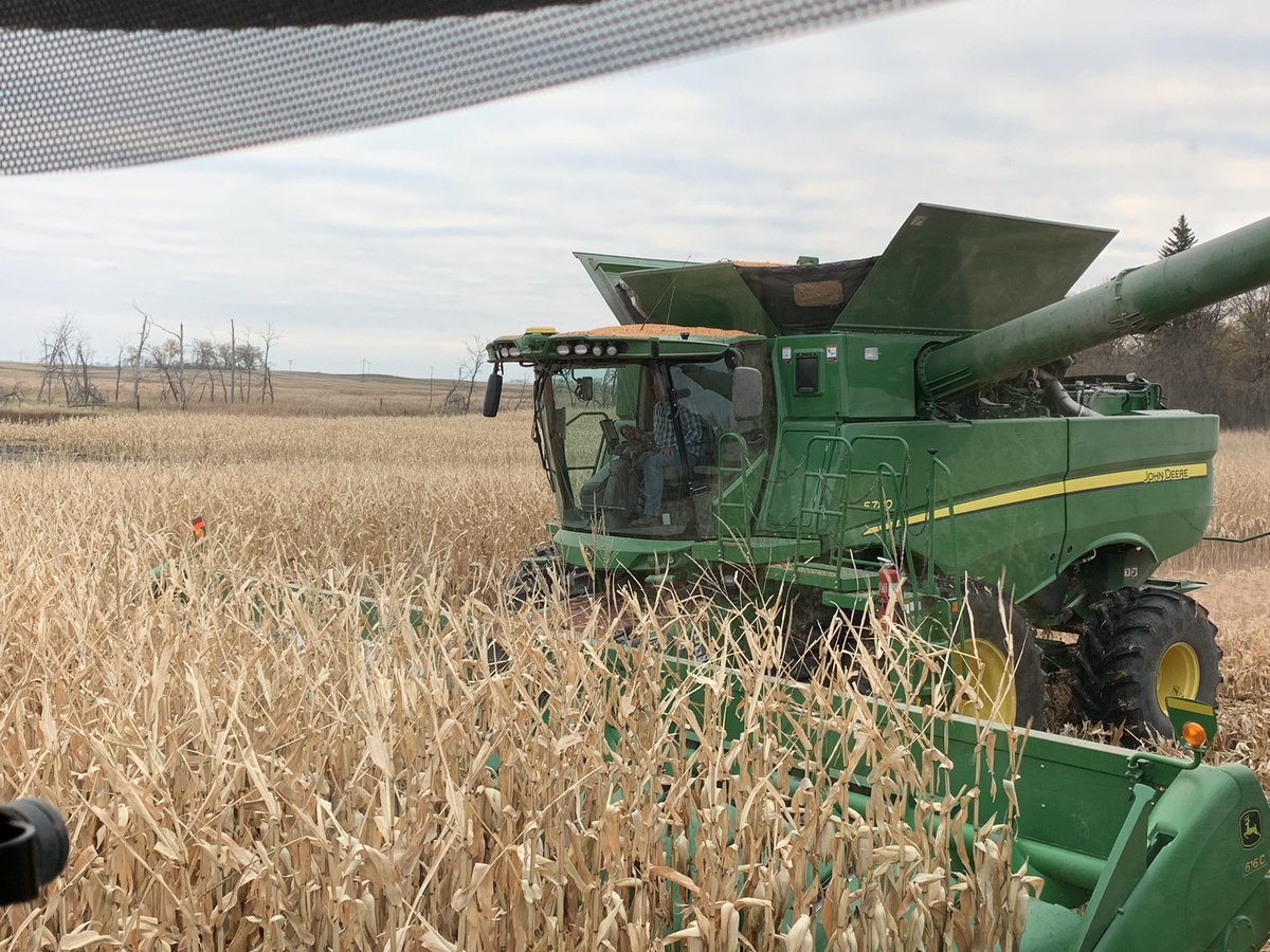 TractorManDan's tweet photo. It’s best to get the cab corn out of the way first thing in the morning https://t.co/lY1k1sY6PY