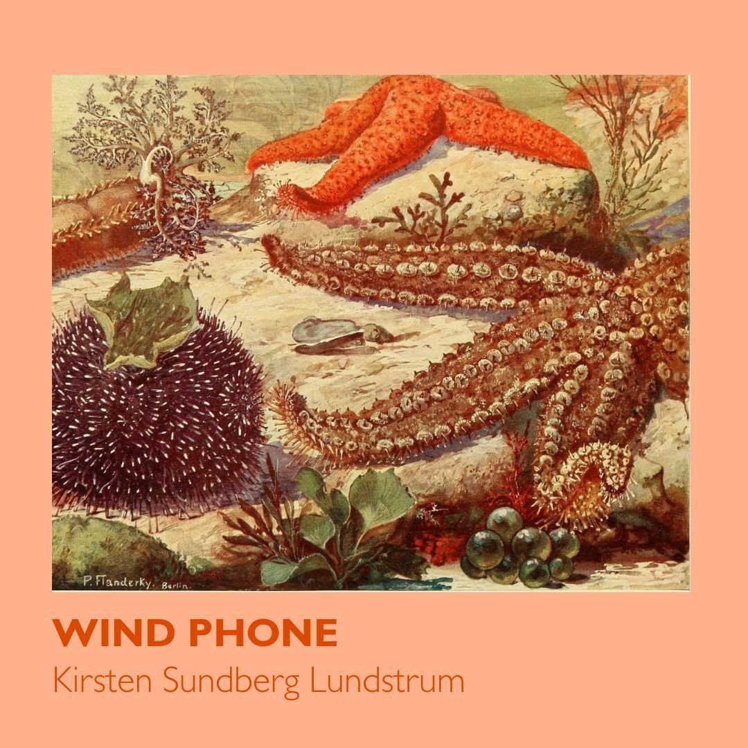 Conjunctions tweet media