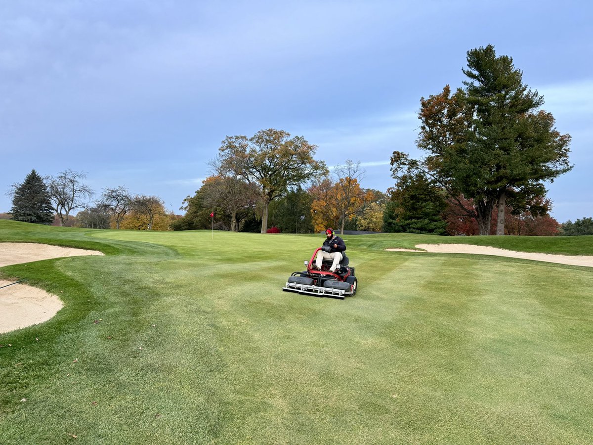 GLCCTurf's tweet photo. Brush cut & heavy sand topping for approaches today now that everything has been aggressively VCut & aerified. Approach surfaces continue to improve in playability ever since getting more aggressive with our cultivation & sanding intervals! #GLCC #GullLakeCC #FirmandFast https://t.co/kVuIHSfqgm