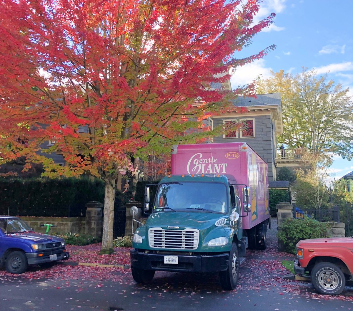Gentle Giant Moving Co. tweet media