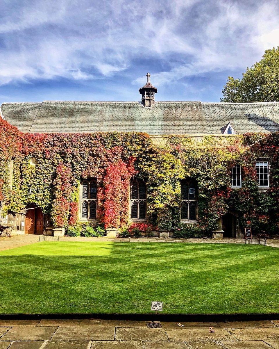 UniofOxford's tweet photo. Oxford in autumn 🍂 

📷 Instagram | LinaFromOxford, Judy.Martin46 &amp; @Petros_Spanou https://t.co/19aTFSr4tz