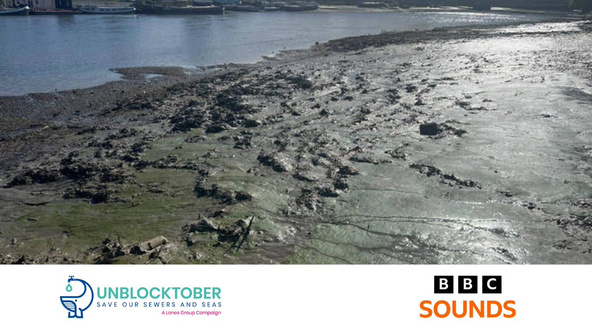Unblocktober (@unblocktober) on Twitter photo Did you hear us on <a href="/bbcmerseyside/">BBC Merseyside</a>?
Ty Harling, Head of Operations at Lanes Group, had a conversation with <a href="/beezoradio/">Paul Beesley</a> regarding our #Unblocktober initiative.
If you're interested in learning please click the link below.
bbc.co.uk/sounds/play/p0… Did you hear us on <a href="/bbcmerseyside/">BBC Merseyside</a>?
Ty Harling, Head of Operations at Lanes Group, had a conversation with <a href="/beezoradio/">Paul Beesley</a> regarding our #Unblocktober initiative.
If you're interested in learning please click the link below.
bbc.co.uk/sounds/play/p0…