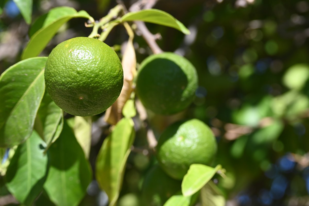 Philosophy Religion and Ethics_NHS tweet media