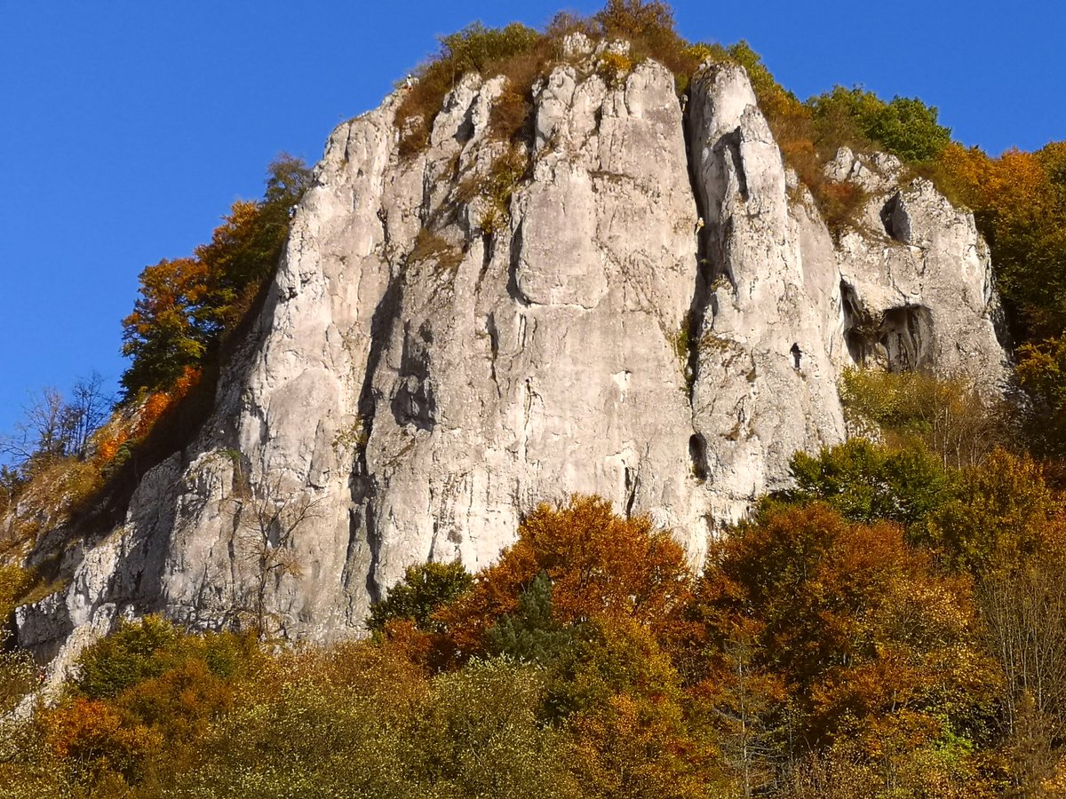 UsGeography's tweet photo. Did you know about the fascinating karst scenery north of Krakow, Poland? A caving, climbing, wildlife filled, dramatic feature paradise!
#dolinakobylanska #dolinabedkowska #polishjura #ojcow #geography #Geographyteacher #Krakow https://t.co/qY4OF2hiNH