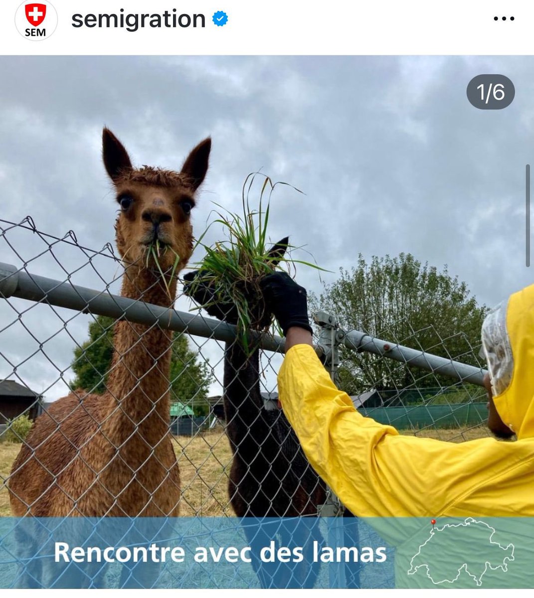 Europa verschärft Kampf gegen illegale Migration. Das Departement Jans macht das Gegenteil: Willkommenskultur pur! Mit Anleitung für Asylgesuche, Velokurse für Jugendliche, Wandern und Begegnungen mit Lamas! Es braucht einen Politikwechsel! Auf instagram.com/semigration?ig…