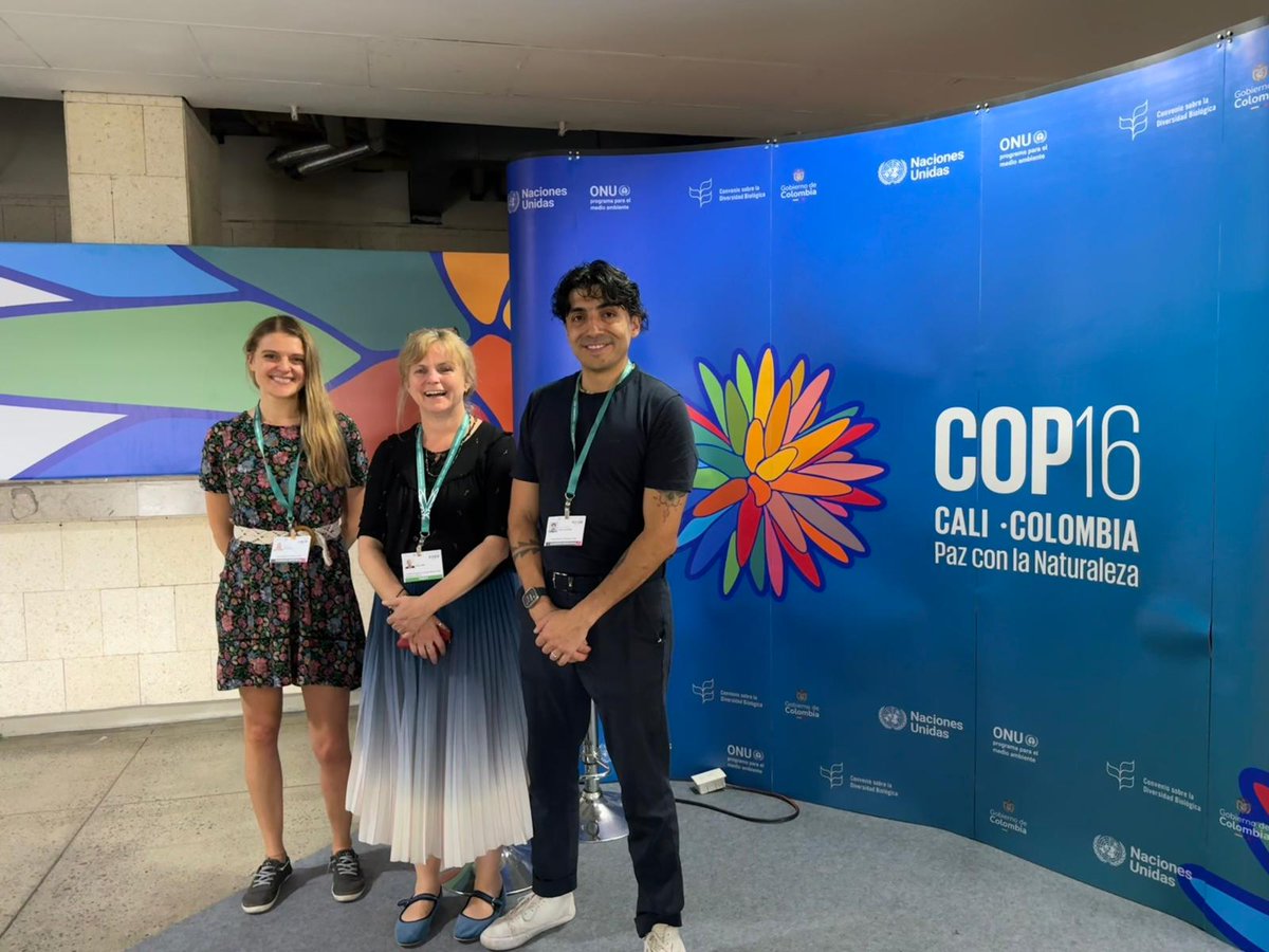 Roberta Gargiulo tweet media