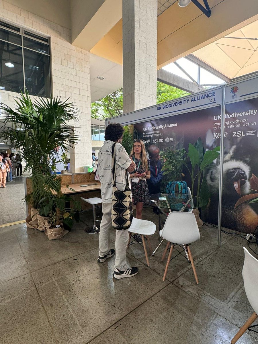 Roberta Gargiulo tweet media