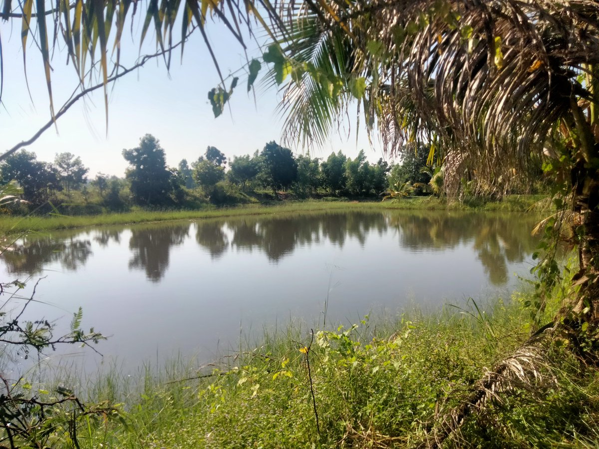 หน้าหนาวมาแล้วนะ