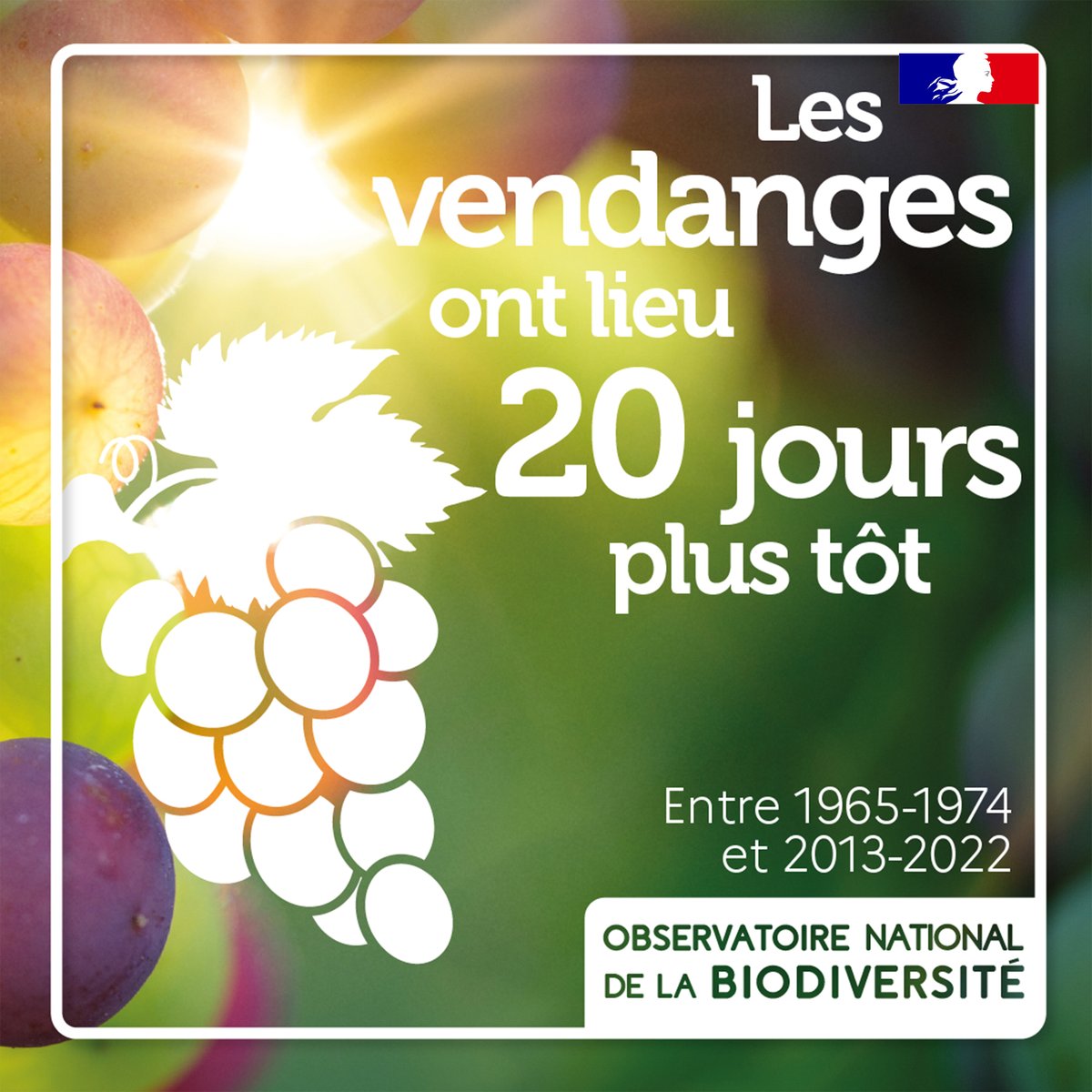 🍇 Cette avancée est fortement liée à une évolution des températures lors des 60 dernières années. La dernière décennie ayant été particulièrement chaude

Il s’agit d’un marqueur efficace de l’adaptation de la végétation face au changement climatique

👉 naturefrance.fr/indicateurs/da…