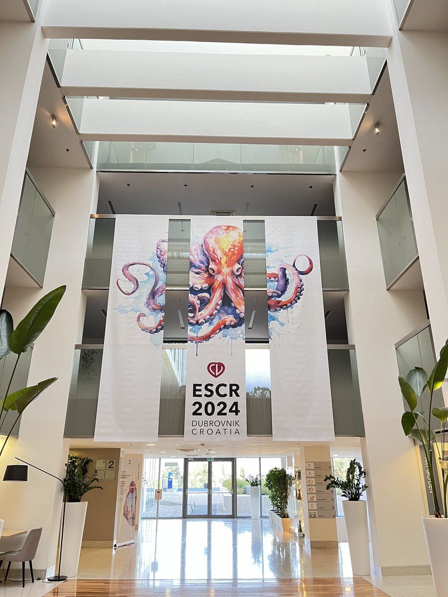 We are ready for ESCR 2024! 🤩

Are you? 💪🏼🇭🇷

Share your most memorable ESCR congress experiences via the hashtag #ESCR2024

See you in Dubrovnik 🙌🏼