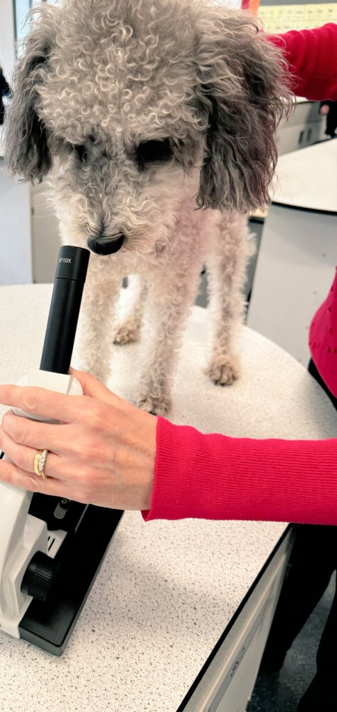 Colin enjoying his #Wednesday lesson.