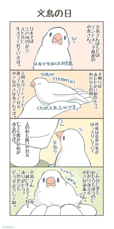 てにしあわせ 文鳥の日。

(再掲)
#文鳥の日 
#文鳥の日2024 