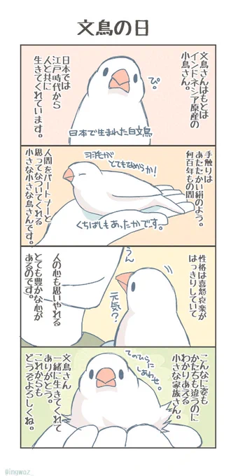 てにしあわせ 文鳥の日。

(再掲)
#文鳥の日 
#文鳥の日2024 