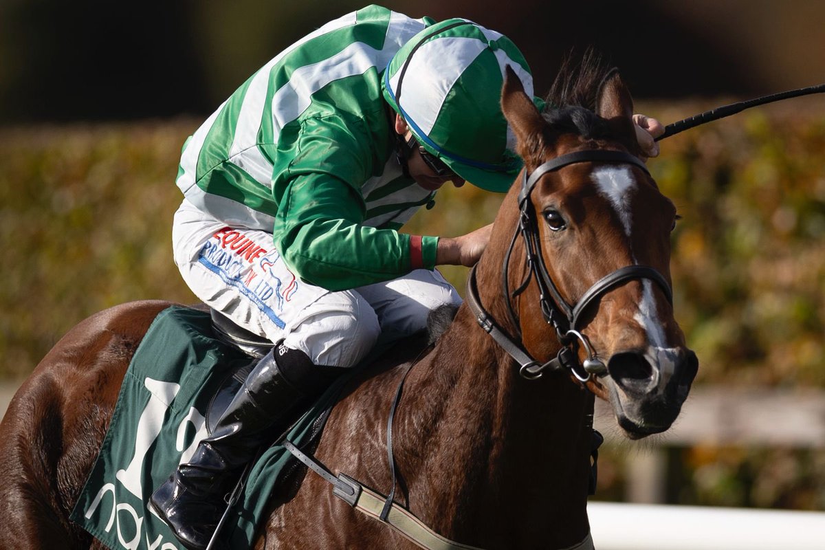 Navan Racecourse tweet media
