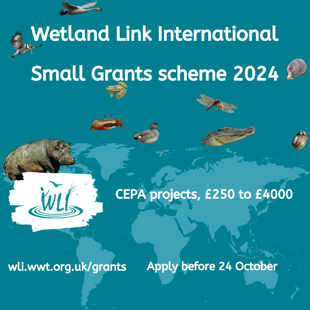 Wetland Link International tweet media