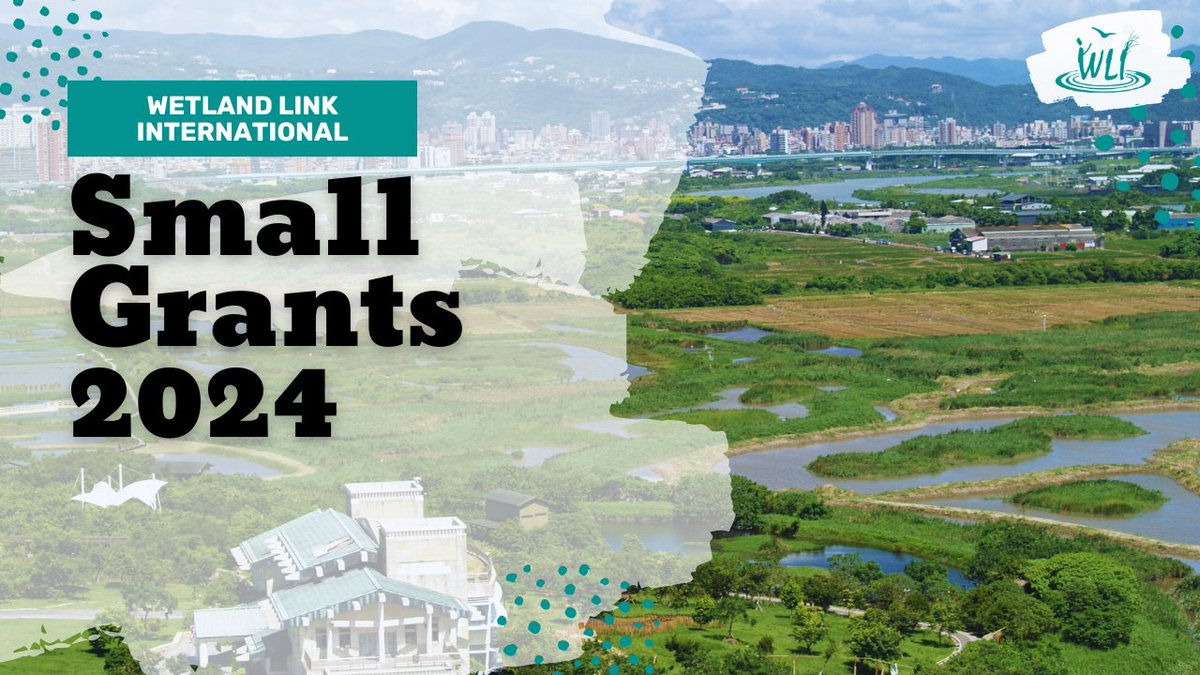 It's the last day to apply for the WLI Small Grants 2024/25! wli.wwt.org.uk/initiatives/wl…