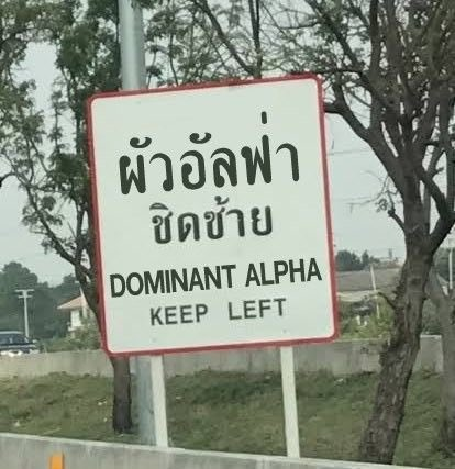 aiinpang's tweet photo. อินทร์แปง คัuเลu ก่อคับ eiei https://t.co/zJnwZHMiDb