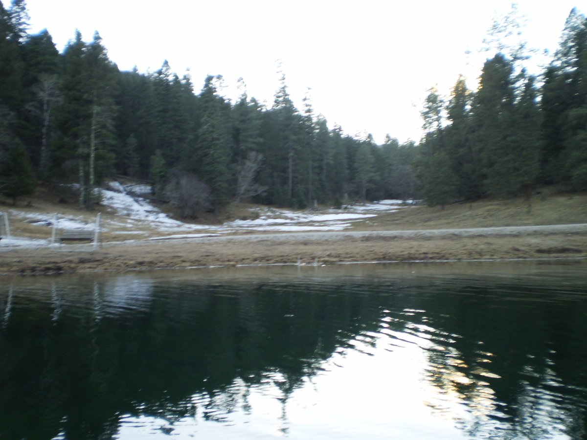 OON_Lifestyles's tweet image. Life&apos;s ripples mirror our journey, reflecting beauty within...

#mountainlife #lifeisfullofreflection #treereflection #pond #tranquility